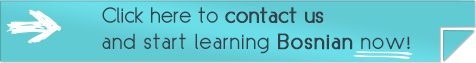 learn bosnian online